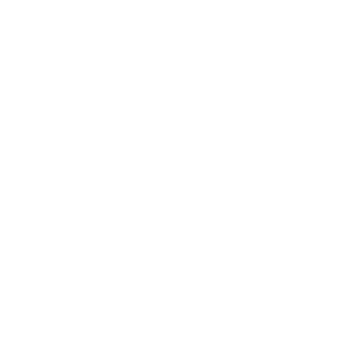 N3S